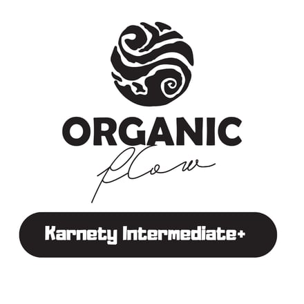 Karnety Intermediate +