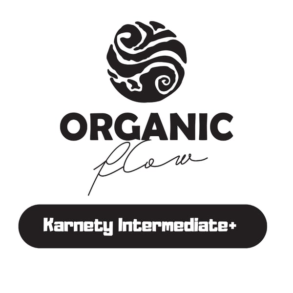 Karnety Intermediate +